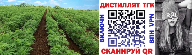 Купить закладки  Бутурлиновка  ТГК жижа 